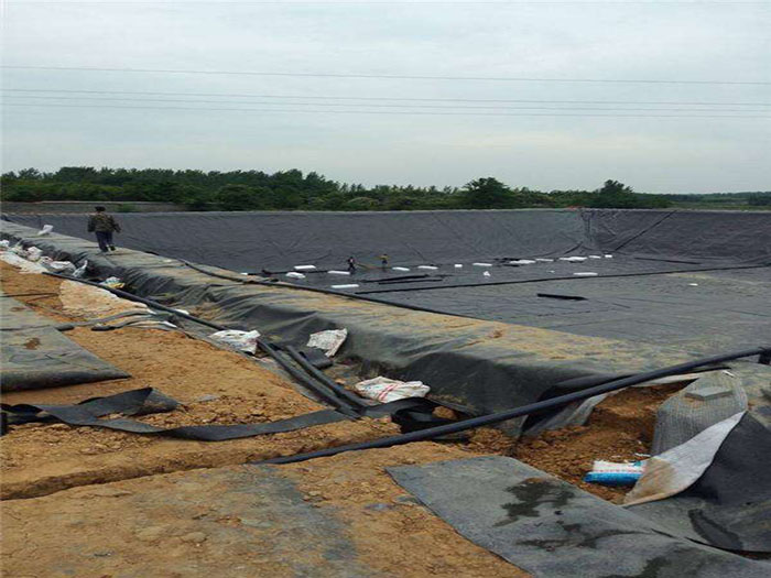 氧化塘黑膜多少錢？