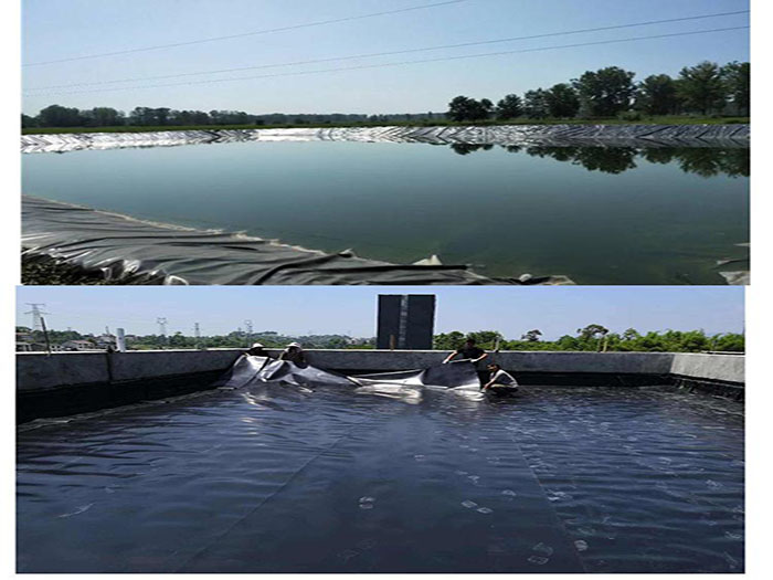 蝦池防滲膜用多厚的？